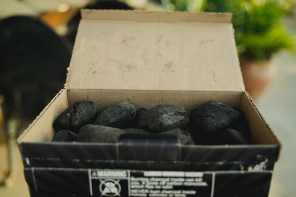 MAXXX - BRICCHETTE DI CARBONE - 20 LB (KG 9,1) - immagine 3