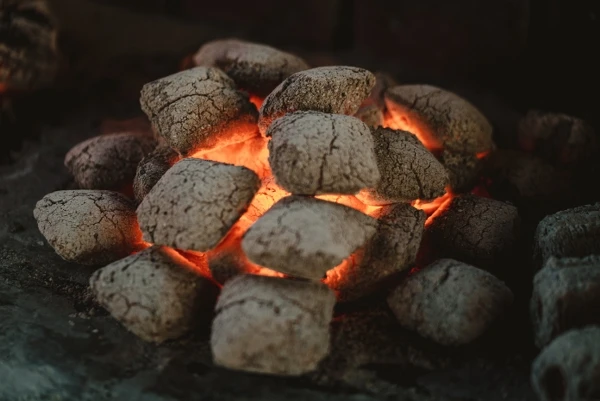 MAXXX - BRICCHETTE DI CARBONE - 20 LB (KG 9,1) - immagine 8